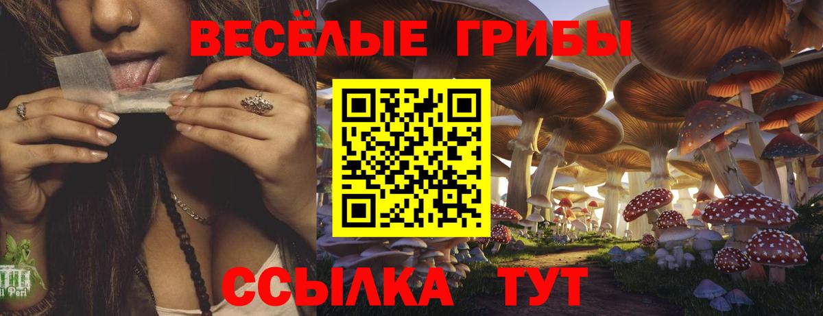 Полевской  Галлюциногенные грибы мицелий  Галлюциногенные грибы прущие грибы  Вход с VPN 
